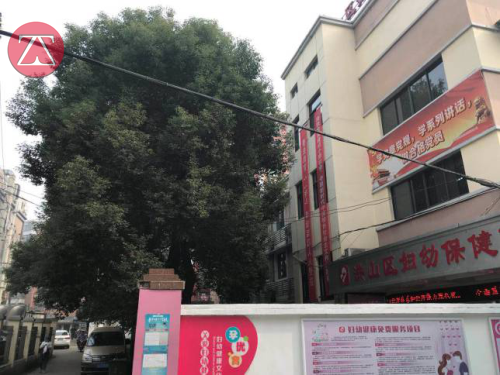 武汉市洪山妇幼医院房屋安全检测